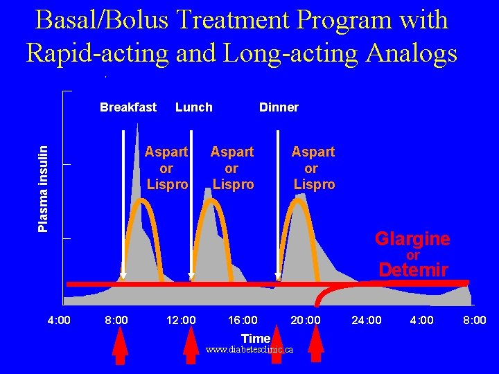 Basal/Bolus Treatment Program with Rapid-acting and Long-acting Analogs Breakfast Lunch Plasma insulin Aspart or