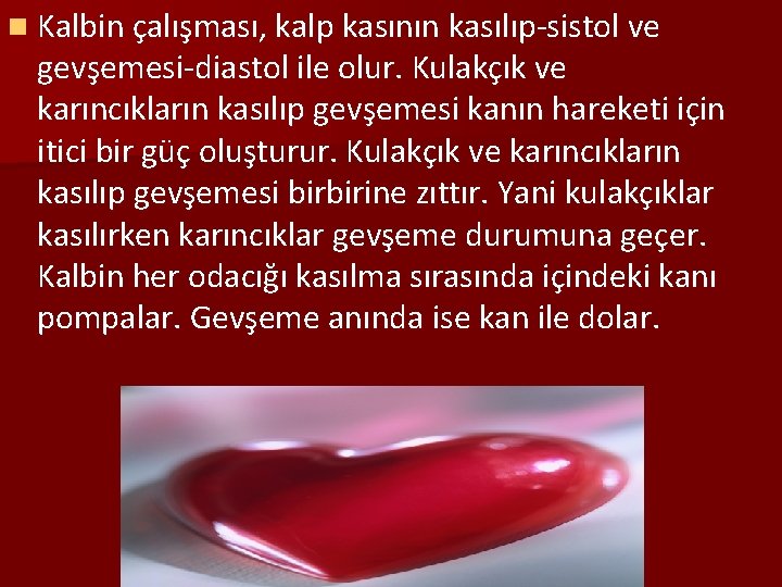 n Kalbin çalışması, kalp kasının kasılıp-sistol ve gevşemesi-diastol ile olur. Kulakçık ve karıncıkların kasılıp