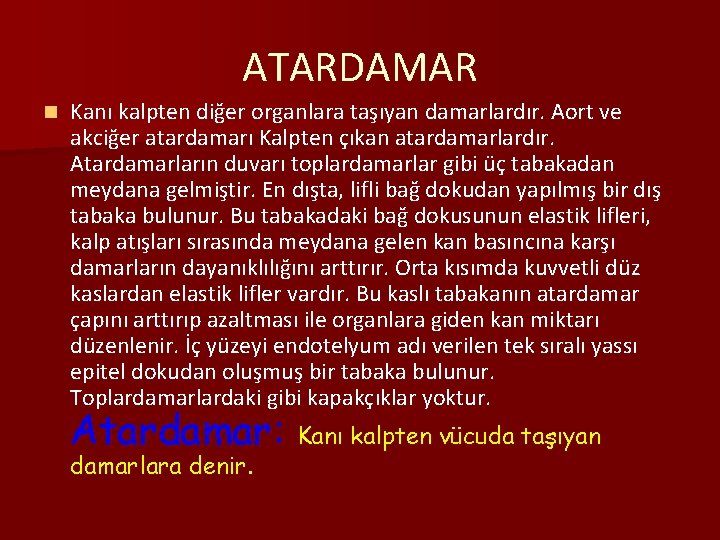 ATARDAMAR n Kanı kalpten diğer organlara taşıyan damarlardır. Aort ve akciğer atardamarı Kalpten çıkan