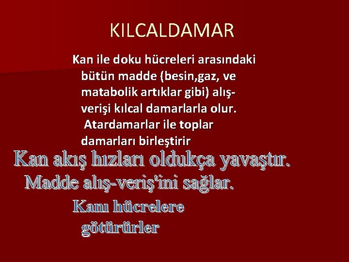 KILCALDAMAR Kan ile doku hücreleri arasındaki bütün madde (besin, gaz, ve matabolik artıklar gibi)