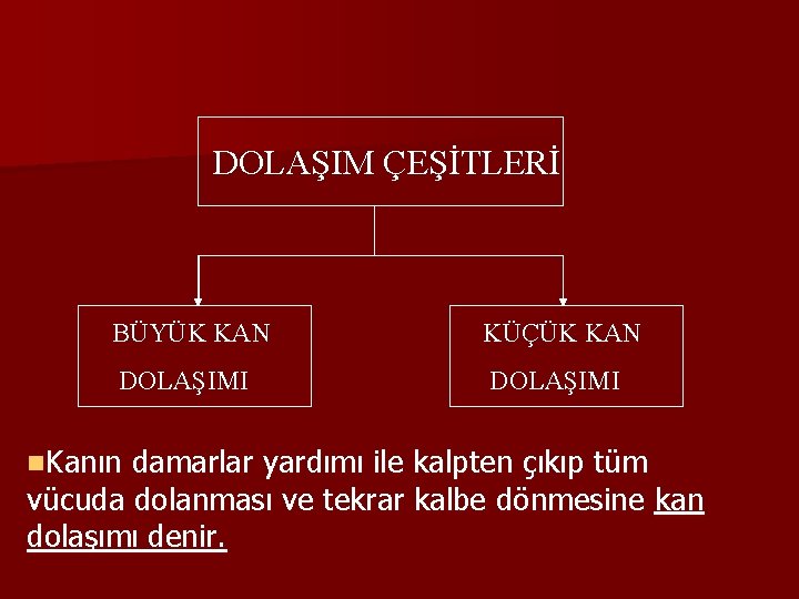 DOLAŞIM ÇEŞİTLERİ BÜYÜK KAN KÜÇÜK KAN DOLAŞIMI n. Kanın damarlar yardımı ile kalpten çıkıp