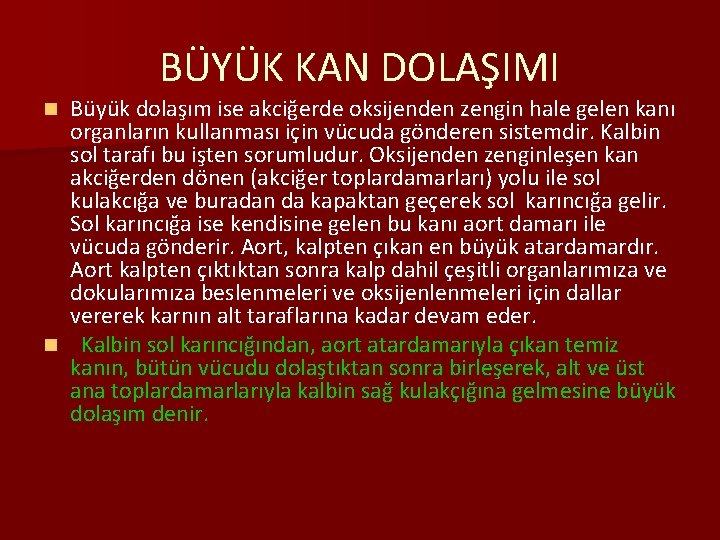 BÜYÜK KAN DOLAŞIMI Büyük dolaşım ise akciğerde oksijenden zengin hale gelen kanı organların kullanması