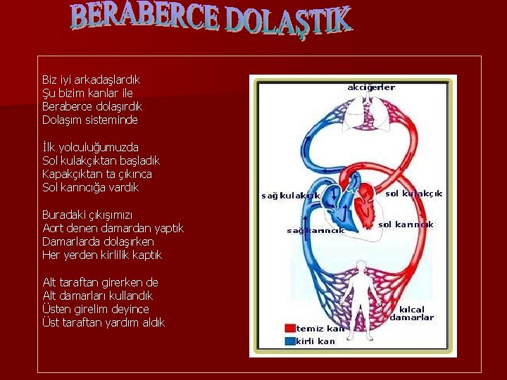 Biz iyi arkadaşlardık Şu bizim kanlar ile Beraberce dolaşırdık Dolaşım sisteminde İlk yolculuğumuzda Sol