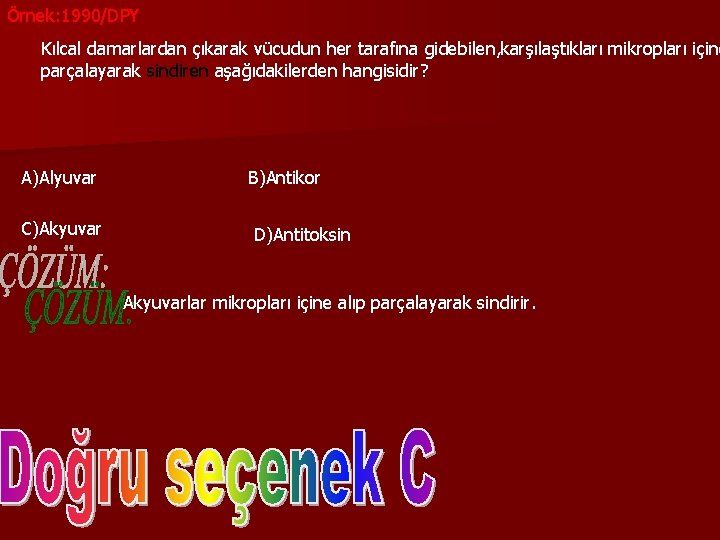 Örnek: 1990/DPY Kılcal damarlardan çıkarak vücudun her tarafına gidebilen, karşılaştıkları mikropları içine parçalayarak sindiren