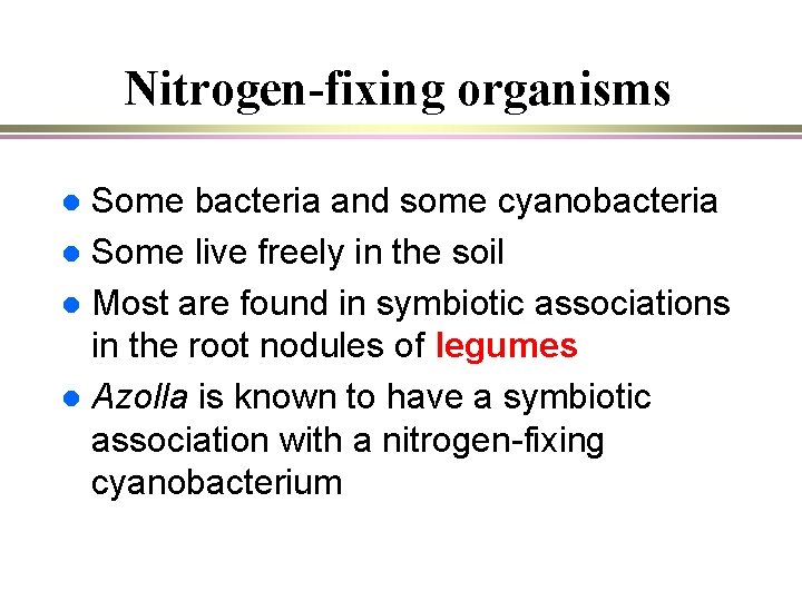 Nitrogen-fixing organisms Some bacteria and some cyanobacteria l Some live freely in the soil