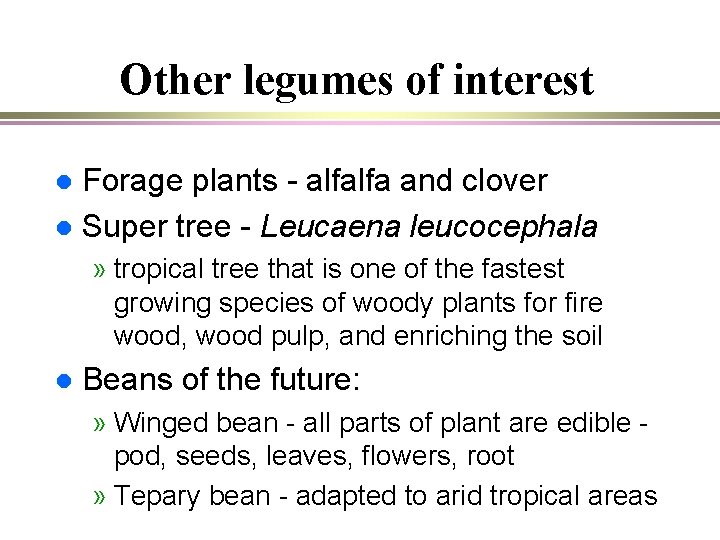 Other legumes of interest Forage plants - alfalfa and clover l Super tree -