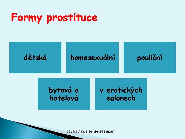 Formy prostituce dětská homosexuální bytová a hotelová pouliční v erotických salonech ZŠ a MŠ