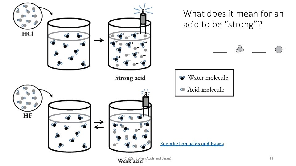 What does it mean for an acid to be “strong”? See phet on acids