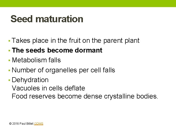 Seed maturation • Takes place in the fruit on the parent plant • The