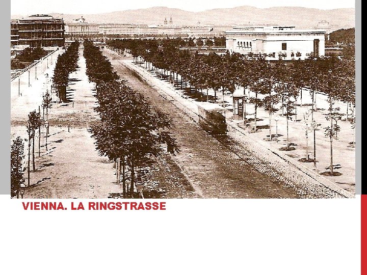 VIENNA. LA RINGSTRASSE 