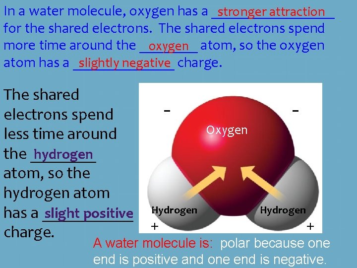 In a water molecule, oxygen has a _________ stronger attraction for the shared electrons.
