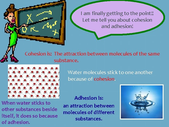 I am finally getting to the point!! Let me tell you about cohesion and