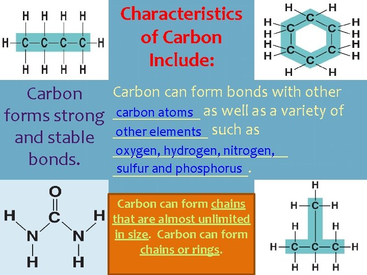Characteristics of Carbon Include: Carbon can form bonds with other carbon atoms forms strong Characteristics of Carbon Include: Carbon can form bonds with other carbon atoms forms strong