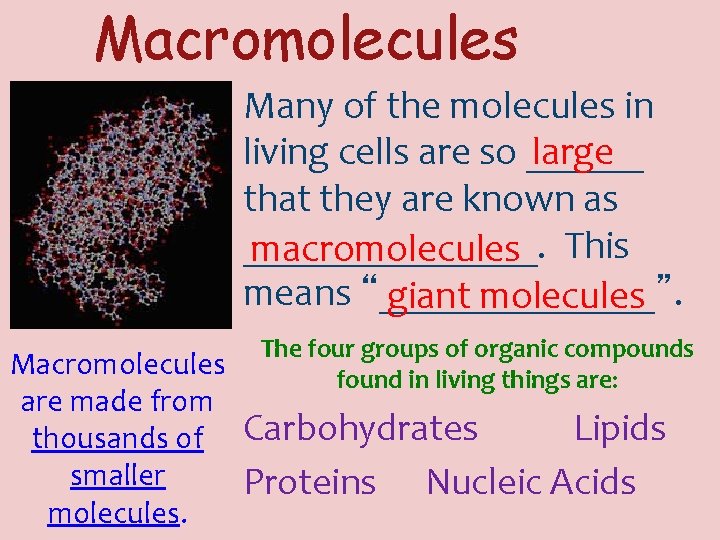 Macromolecules Many of the molecules in living cells are so ______ large that they Macromolecules Many of the molecules in living cells are so ______ large that they