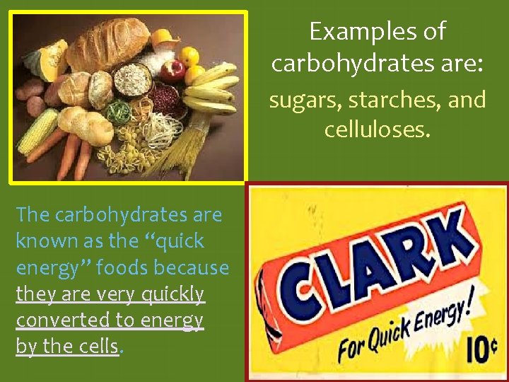 Examples of carbohydrates are: sugars, starches, and celluloses. The carbohydrates are known as the Examples of carbohydrates are: sugars, starches, and celluloses. The carbohydrates are known as the