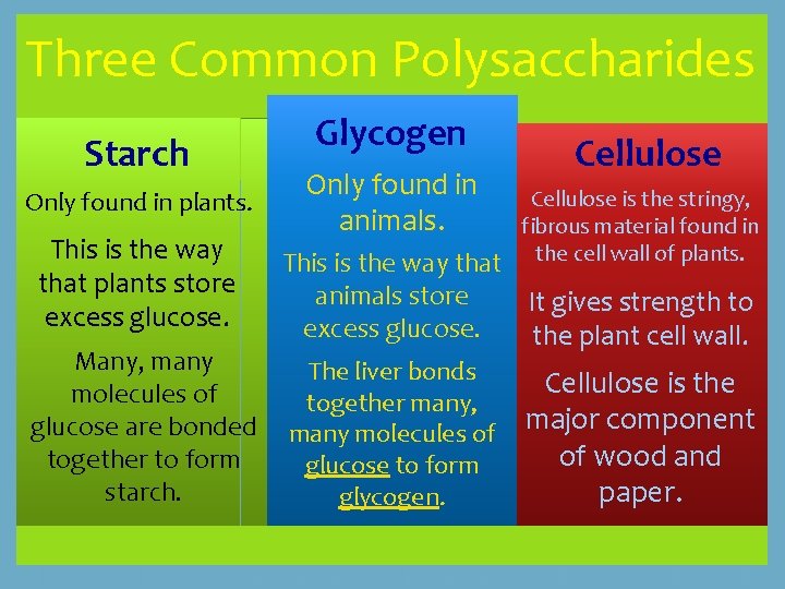 Three Common Polysaccharides Starch Only found in plants. This is the way that plants