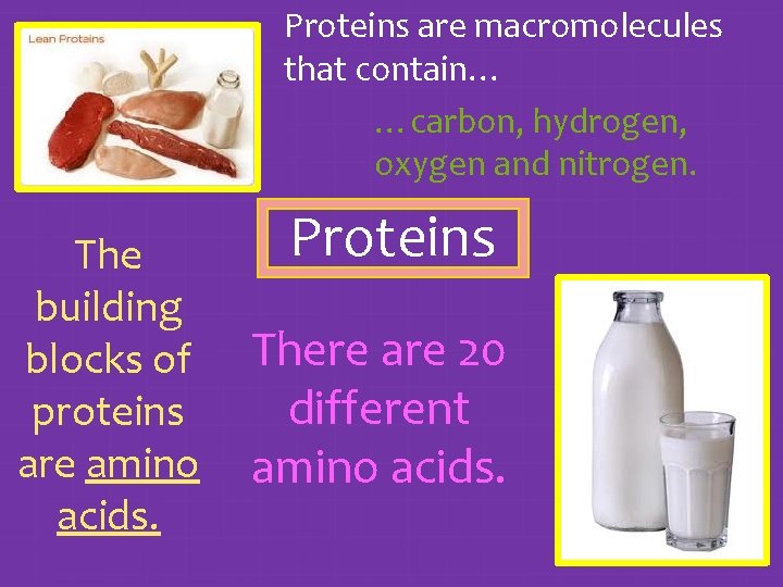 Proteins are macromolecules that contain… …carbon, hydrogen, oxygen and nitrogen. Proteins The building blocks