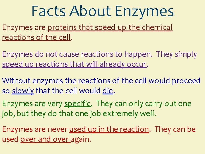 Facts About Enzymes are proteins that speed up the chemical reactions of the cell. Facts About Enzymes are proteins that speed up the chemical reactions of the cell.