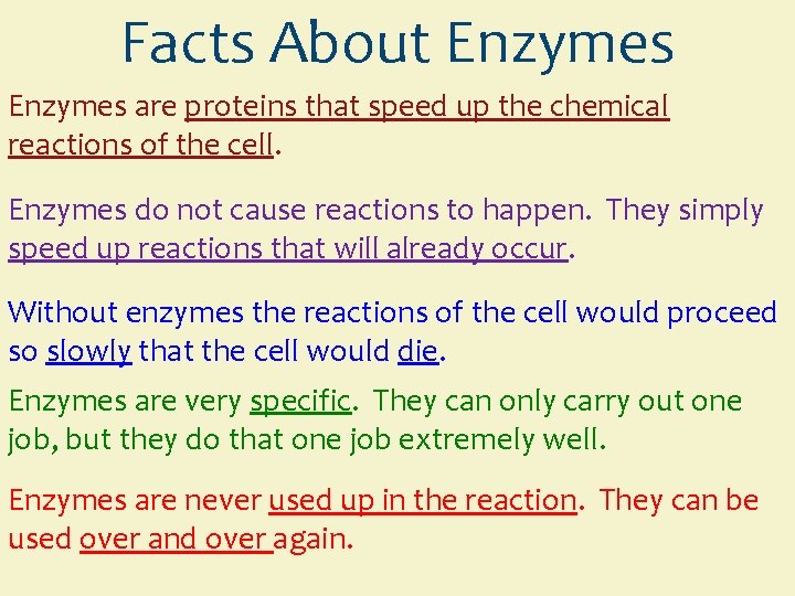 Facts About Enzymes are proteins that speed up the chemical reactions of the cell.