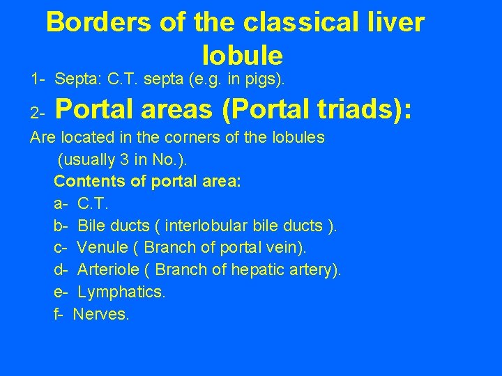 Borders of the classical liver lobule 1 - Septa: C. T. septa (e. g.