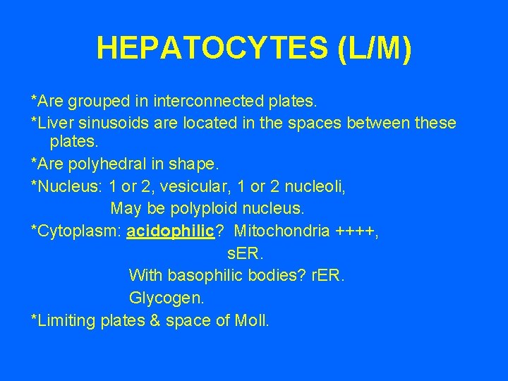 HEPATOCYTES (L/M) *Are grouped in interconnected plates. *Liver sinusoids are located in the spaces