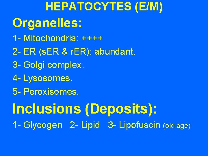 HEPATOCYTES (E/M) Organelles: 1 - Mitochondria: ++++ 2 - ER (s. ER & r.