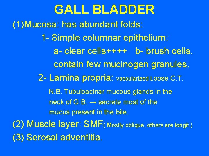 GALL BLADDER (1)Mucosa: has abundant folds: 1 - Simple columnar epithelium: a- clear cells++++
