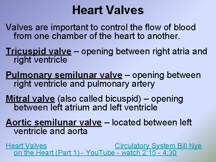 Heart Valves are important to control the flow of blood from one chamber of
