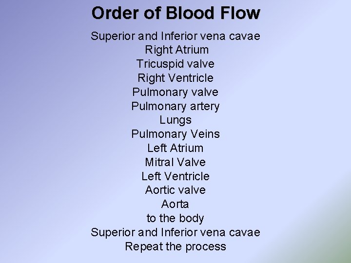 Order of Blood Flow Superior and Inferior vena cavae Right Atrium Tricuspid valve Right