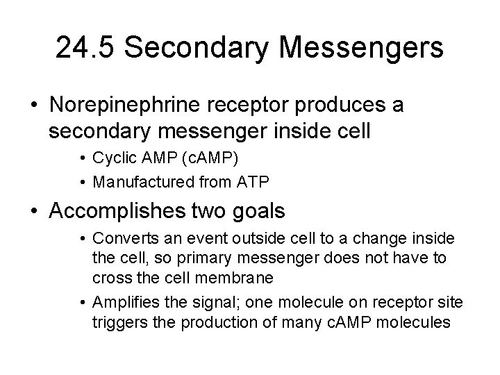 24. 5 Secondary Messengers • Norepinephrine receptor produces a secondary messenger inside cell •