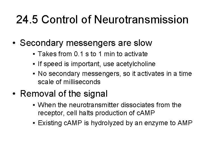 24. 5 Control of Neurotransmission • Secondary messengers are slow • Takes from 0.