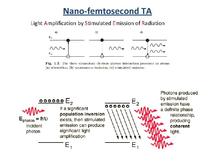 Nano-femtosecond TA Light Amplification by Stimulated Emission of Radiation 