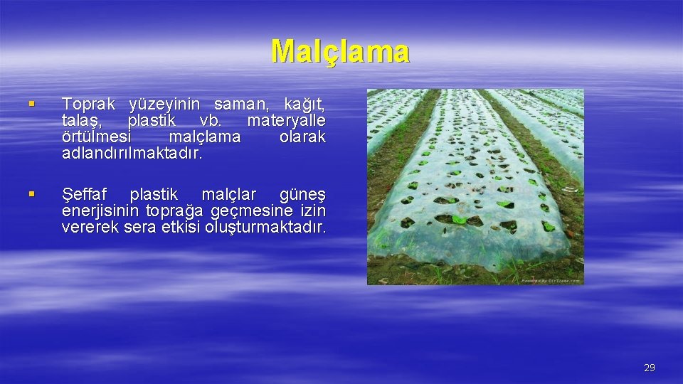 Malçlama § Toprak yüzeyinin saman, kağıt, talaş, plastik vb. materyalle örtülmesi malçlama olarak adlandırılmaktadır.