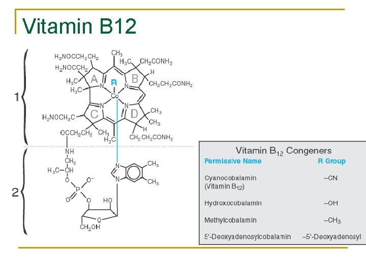 Vitamin B 12 