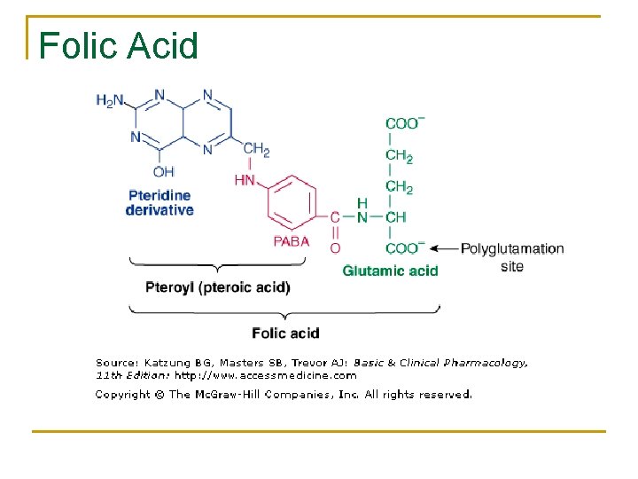 Folic Acid 