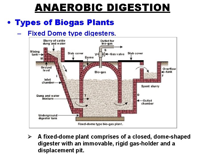 ANAEROBIC DIGESTION • Types of Biogas Plants – Fixed Dome type digesters. Ø A