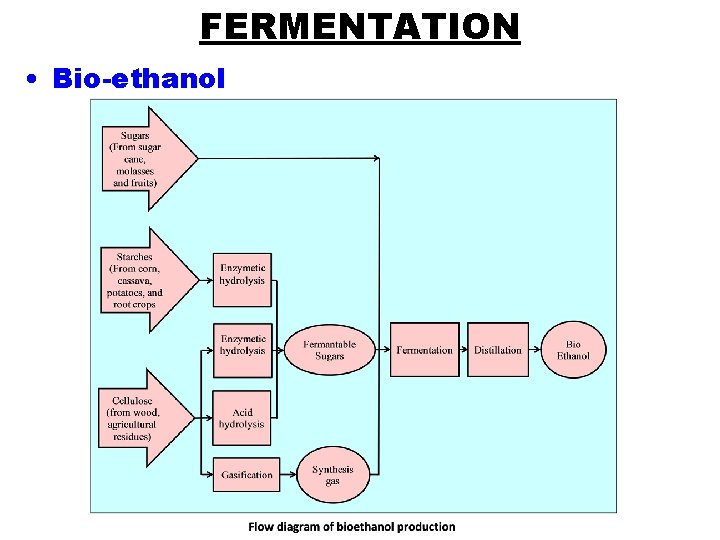 FERMENTATION • Bio-ethanol 