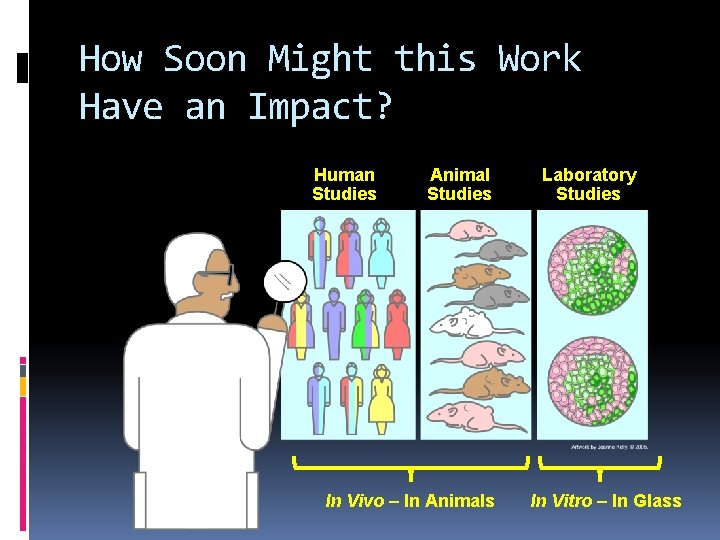 How Soon Might this Work Have an Impact? Human Studies Animal Studies In Vivo