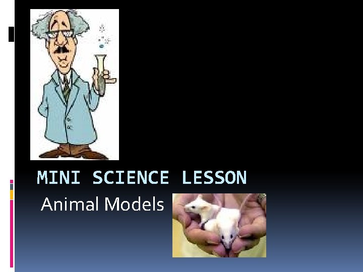 MINI SCIENCE LESSON Animal Models 