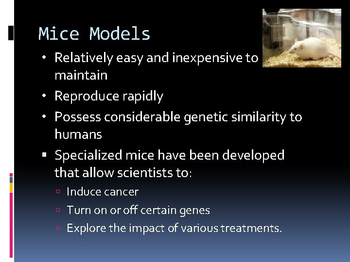 Mice Models • Relatively easy and inexpensive to maintain • Reproduce rapidly • Possess