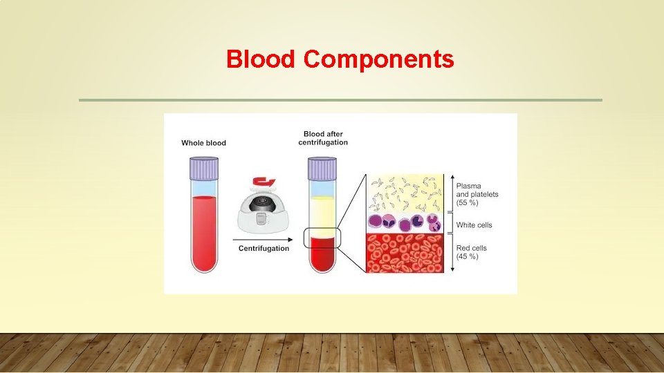 Blood Components 