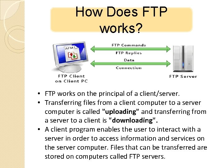 How Does FTP works? • FTP works on the principal of a client/server. •
