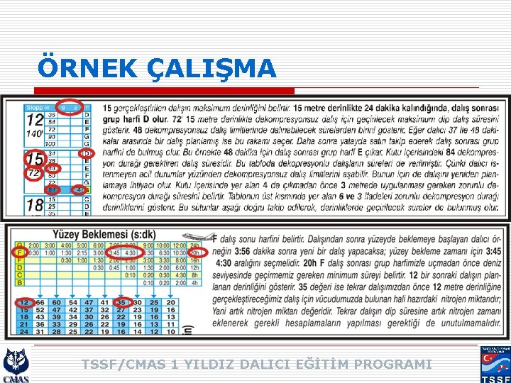 ÖRNEK ÇALIŞMA TSSF/CMAS 1 YILDIZ DALICI EĞİTİM PROGRAMI 