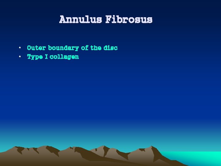 Annulus Fibrosus • Outer boundary of the disc • Type I collagen 