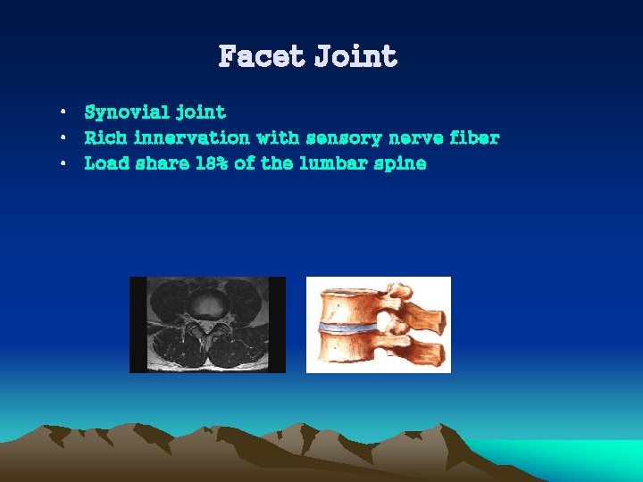 Facet Joint • Synovial joint • Rich innervation with sensory nerve fiber • Load