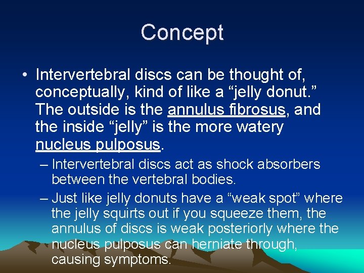 Concept • Intervertebral discs can be thought of, conceptually, kind of like a “jelly