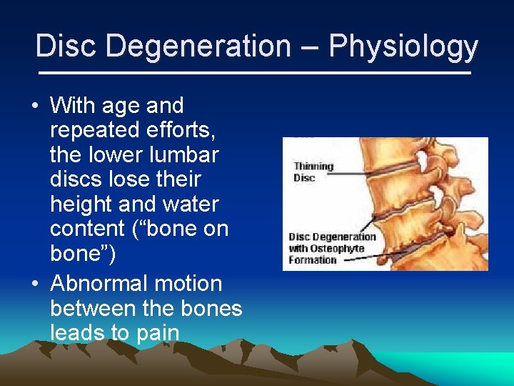 Disc Degeneration – Physiology • With age and repeated efforts, the lower lumbar discs