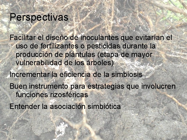 Perspectivas Facilitar el diseño de inoculantes que evitarían el uso de fertilizantes o pesticidas