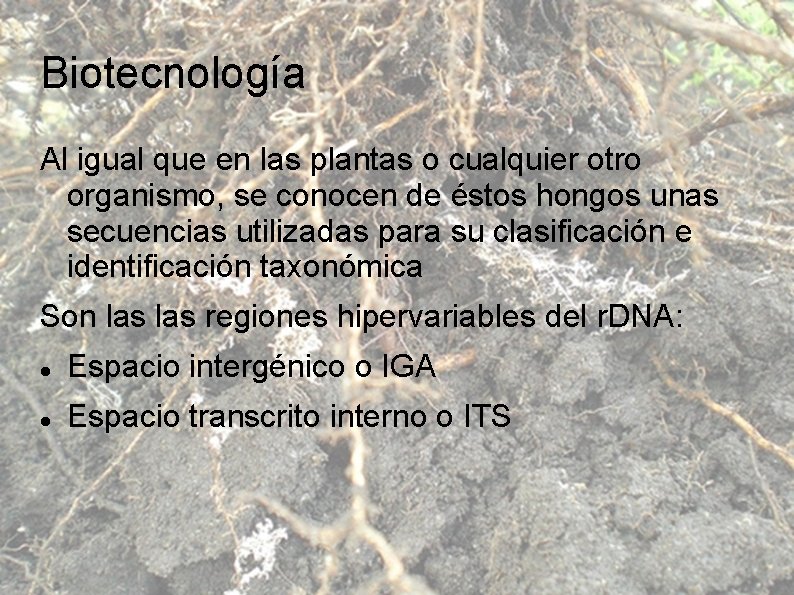 Biotecnología Al igual que en las plantas o cualquier otro organismo, se conocen de