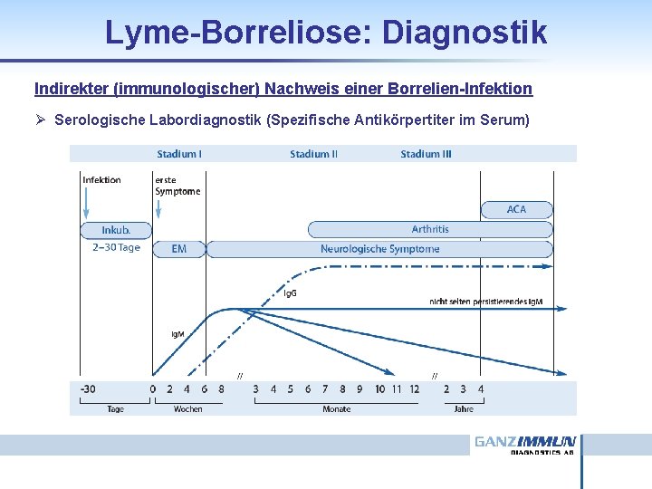 Borrelien Igm Positiv Was Tun slidetodoc.com